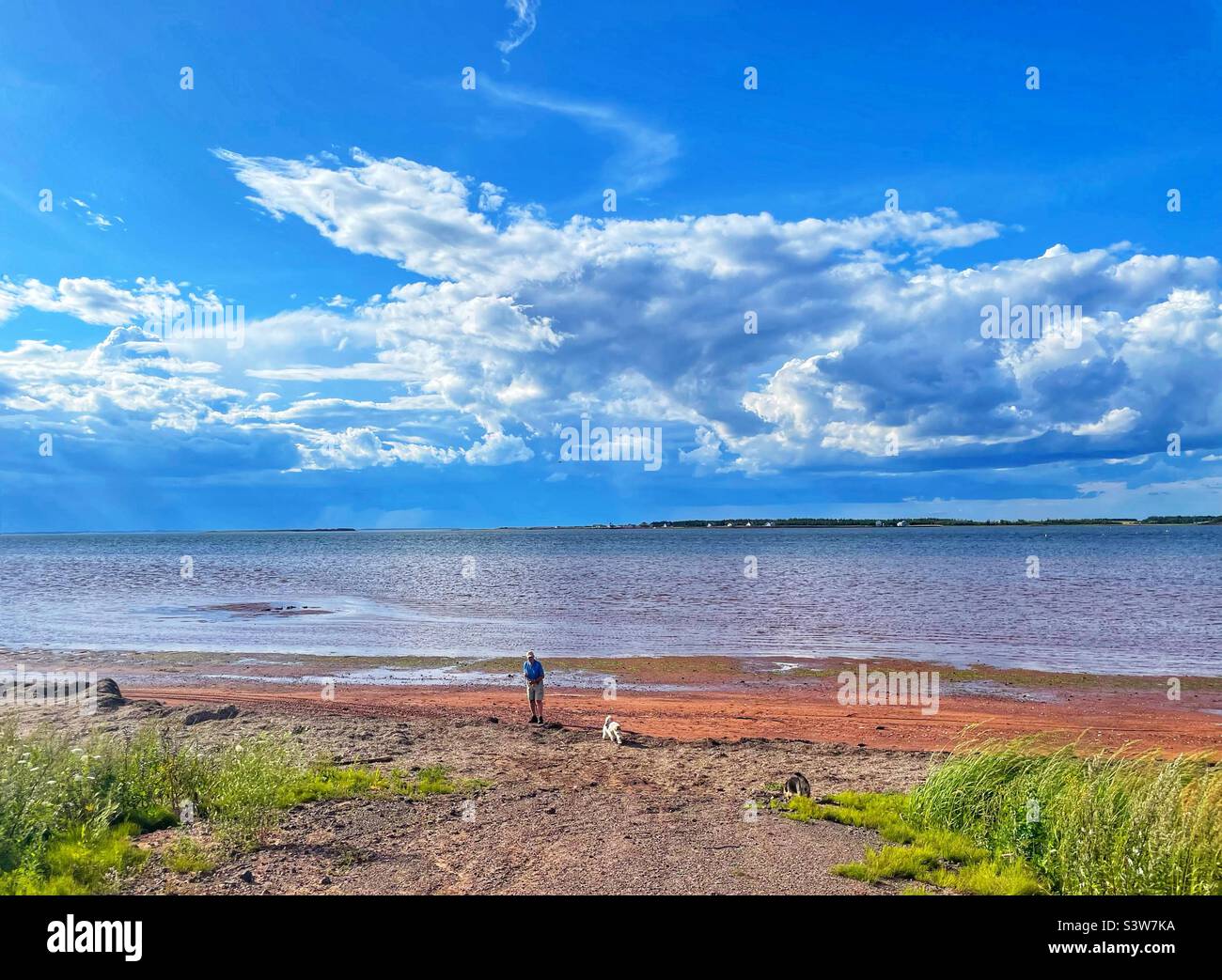 Mann und Hund an einem ländlichen Strand von Prince Edward Island, Kanada. - Smartphone-aufgenommenes Stockfoto