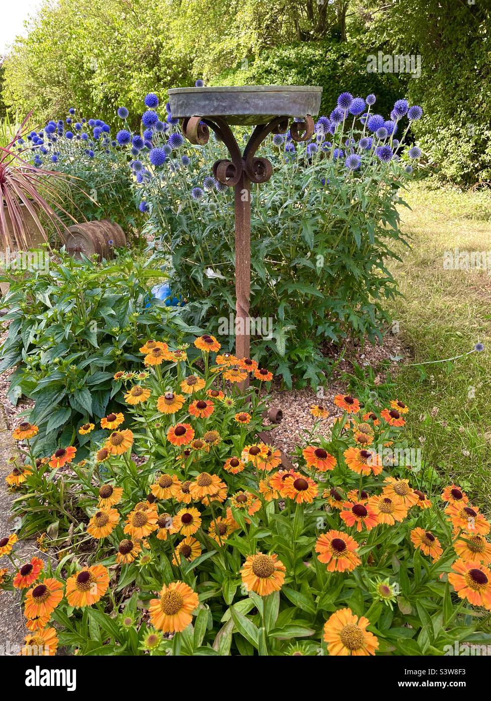 Englische Landgarten Blumen Stockfoto