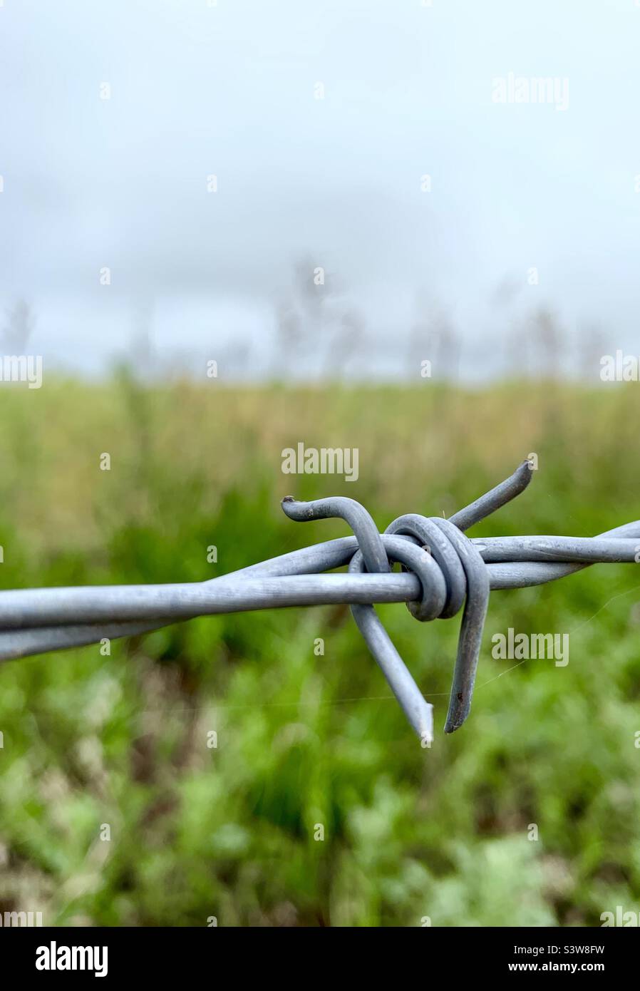 Nahaufnahme eines Stacheldrahtzauens mit Feld und Himmel im Hintergrund - Smartphone-aufgenommenes Stockfoto