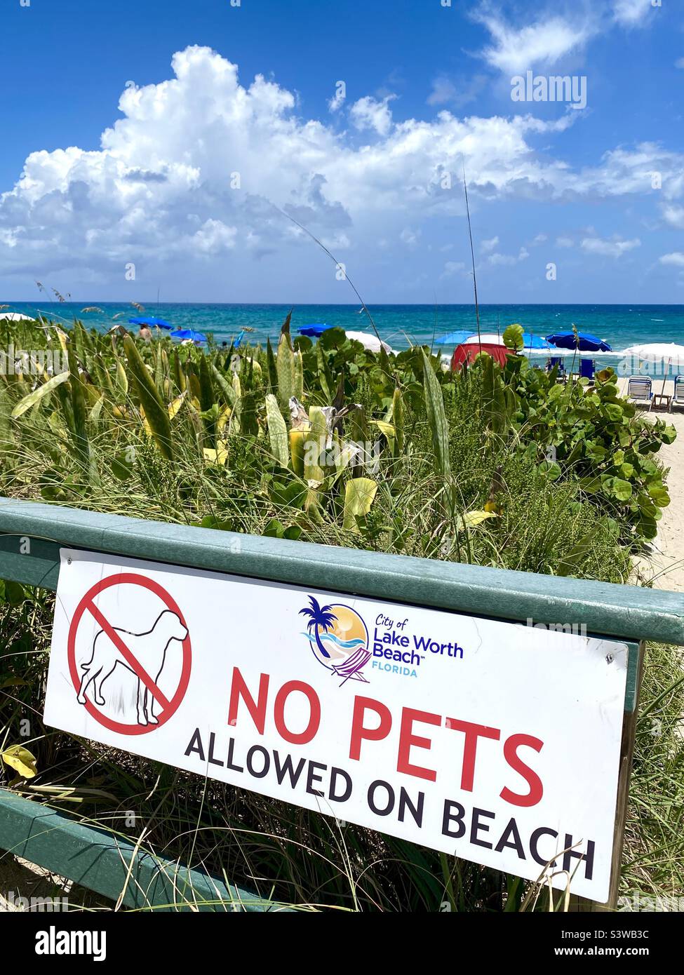 Keine Haustiere erlaubt Schild am Lake Worth Beach, Florida. Stockfoto