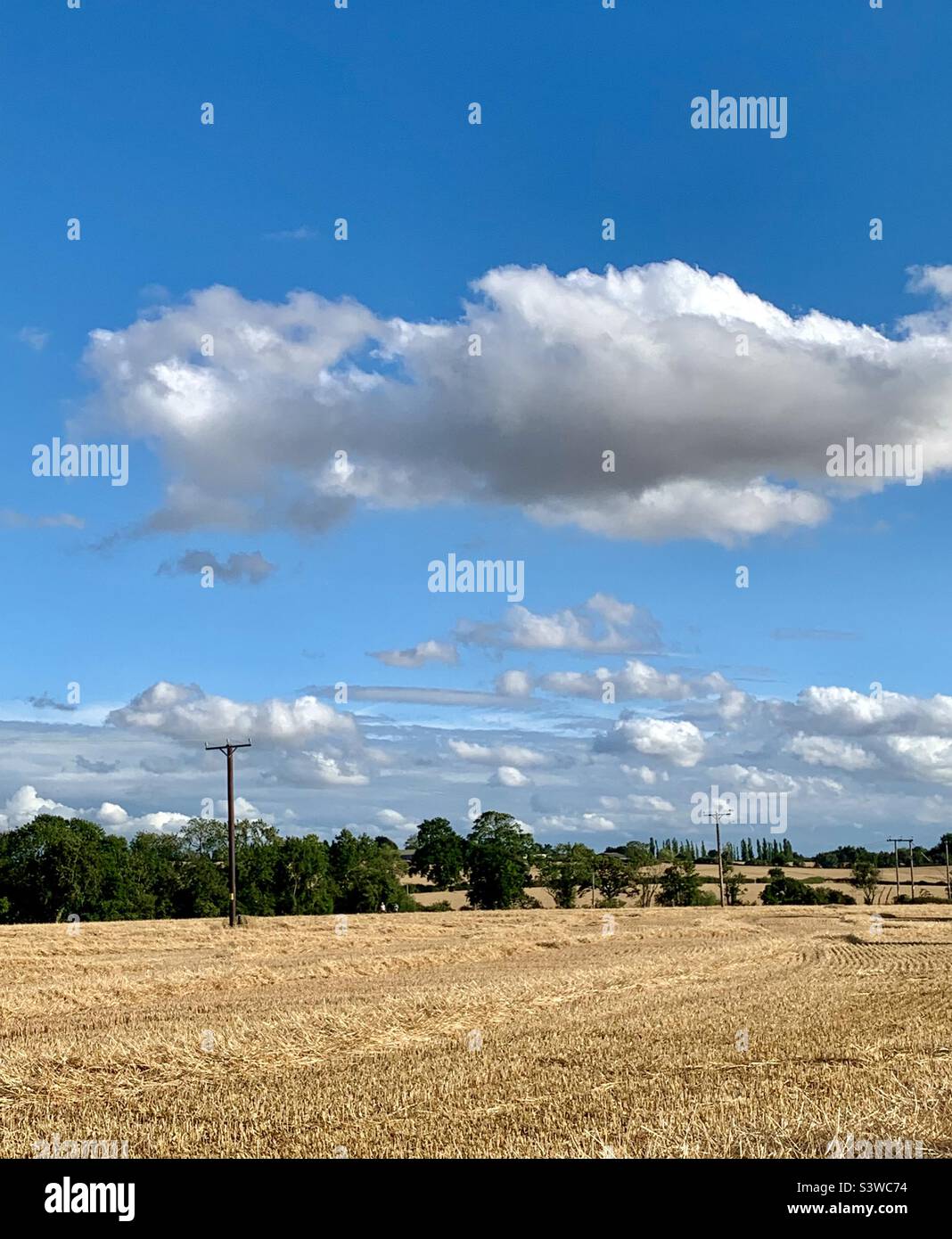 Cumulus Wolken über ausgetrocknet geernteten Feldern, Buckinghamshire, England Stockfoto