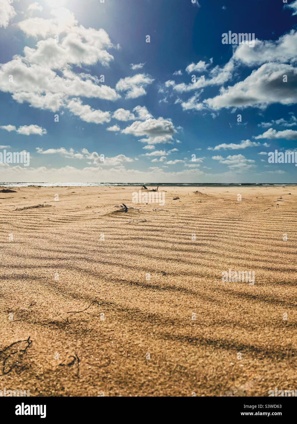 Blick aus dem niedrigen Winkel auf Sandwellen am Strand an einem windigen Tag mit blauem Himmel und weißen Wolken - Smartphone-aufgenommenes Stockfoto