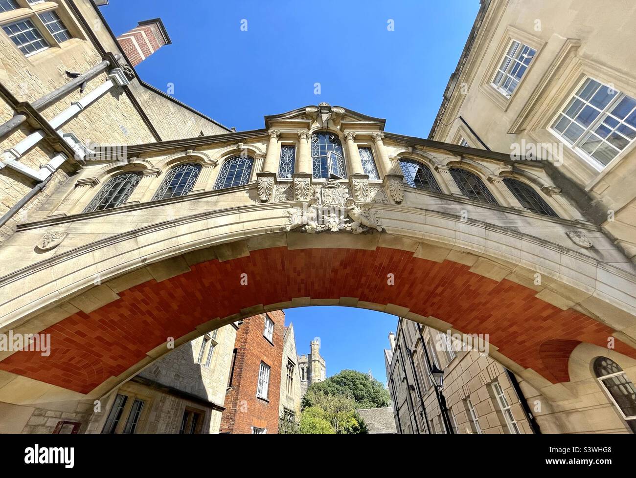 Die Hertford Bridge, oft auch „Bridge of Seufzer“ genannt, ist ein Skyway, der zwei Teile des Hertford College über die New College Lane in Oxford, England, verbindet. Die Eiche dahinter ist in einem Harry Potter Film erschienen. Stockfoto