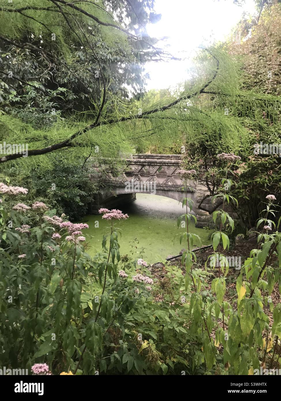 Brücke und Pflanzen im Botanischen Garten, dem Royal Victoria Park