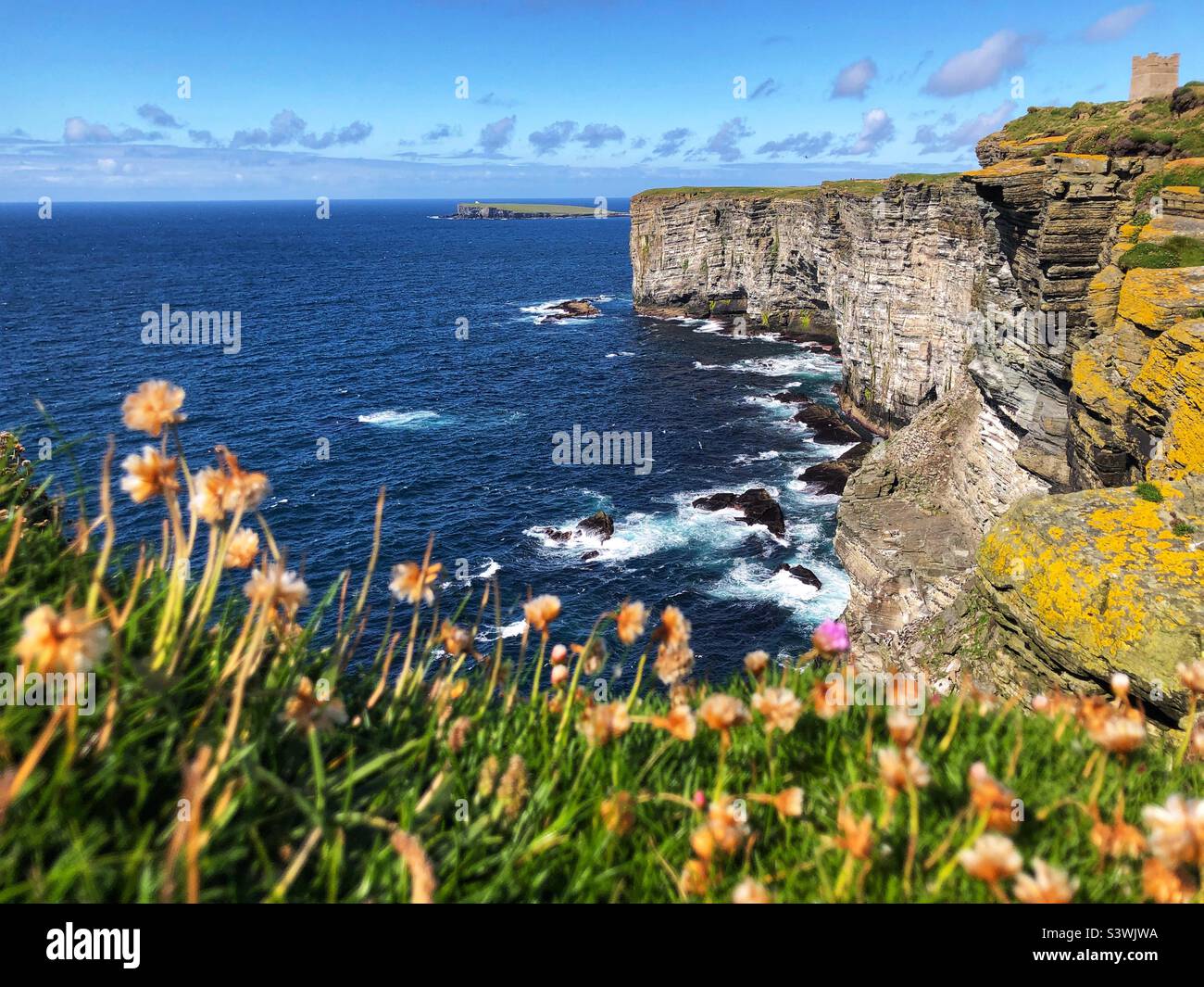 RSPB Marwick Head Nature Reserve, Orkney Isles, Schottland Stockfoto