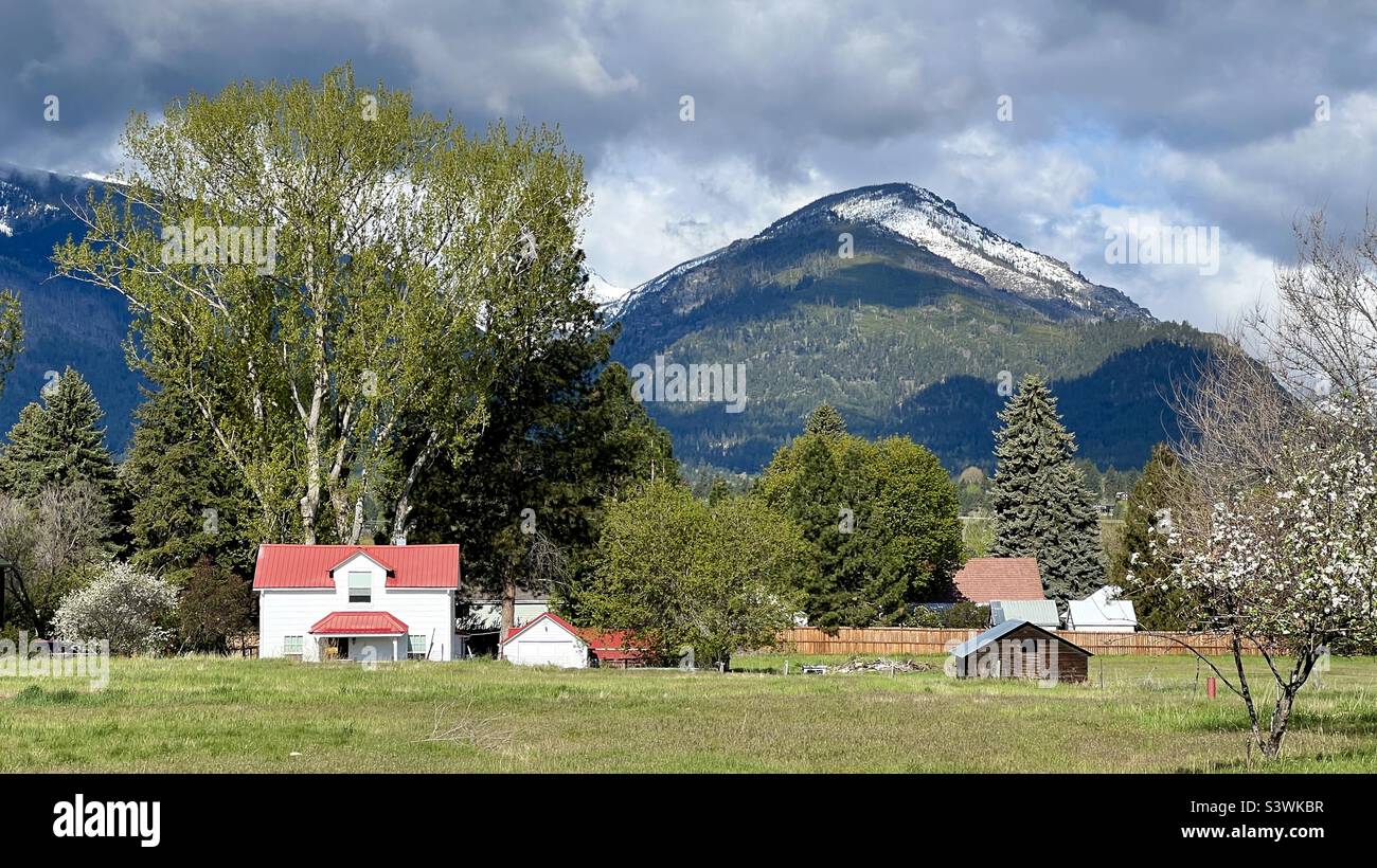 HAMILTON, MT, MAI 2022: Weißes Haus mit rotem Dach und nahe gelegener Hütte, Grasland, Bäumen und schweren Wolken über Bergen im Hintergrund Stockfoto