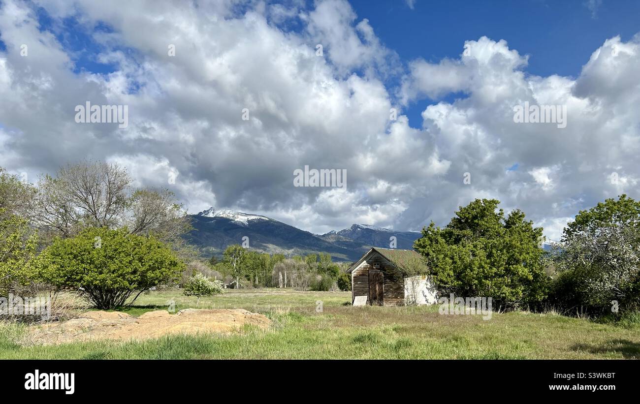 Blick über Grasland mit einer Hütte auf der einen Seite, Bäumen und Buschvegetation, Wolken über nahe gelegenen Bergen im Hintergrund, in Hamilton, Montana - Smartphone-aufgenommenes Stockfoto