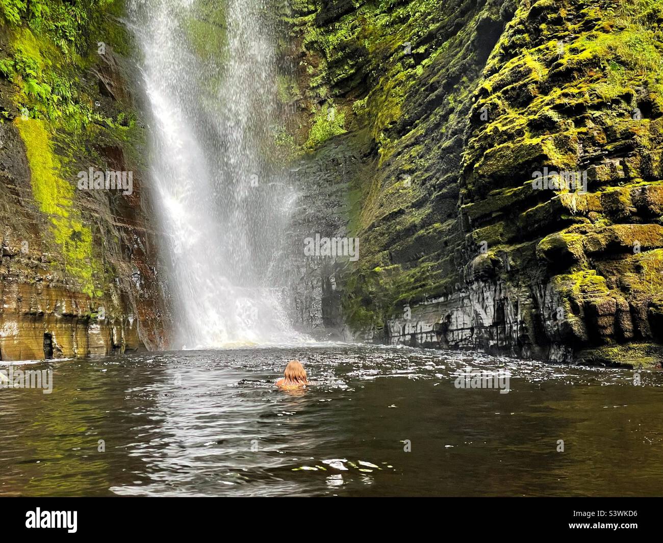 Wildes Schwimmen in Wales. Eine junge Frau, die in einem Wasserfallbecken schwimmend ist, Brecon Beacons, August. Stockfoto