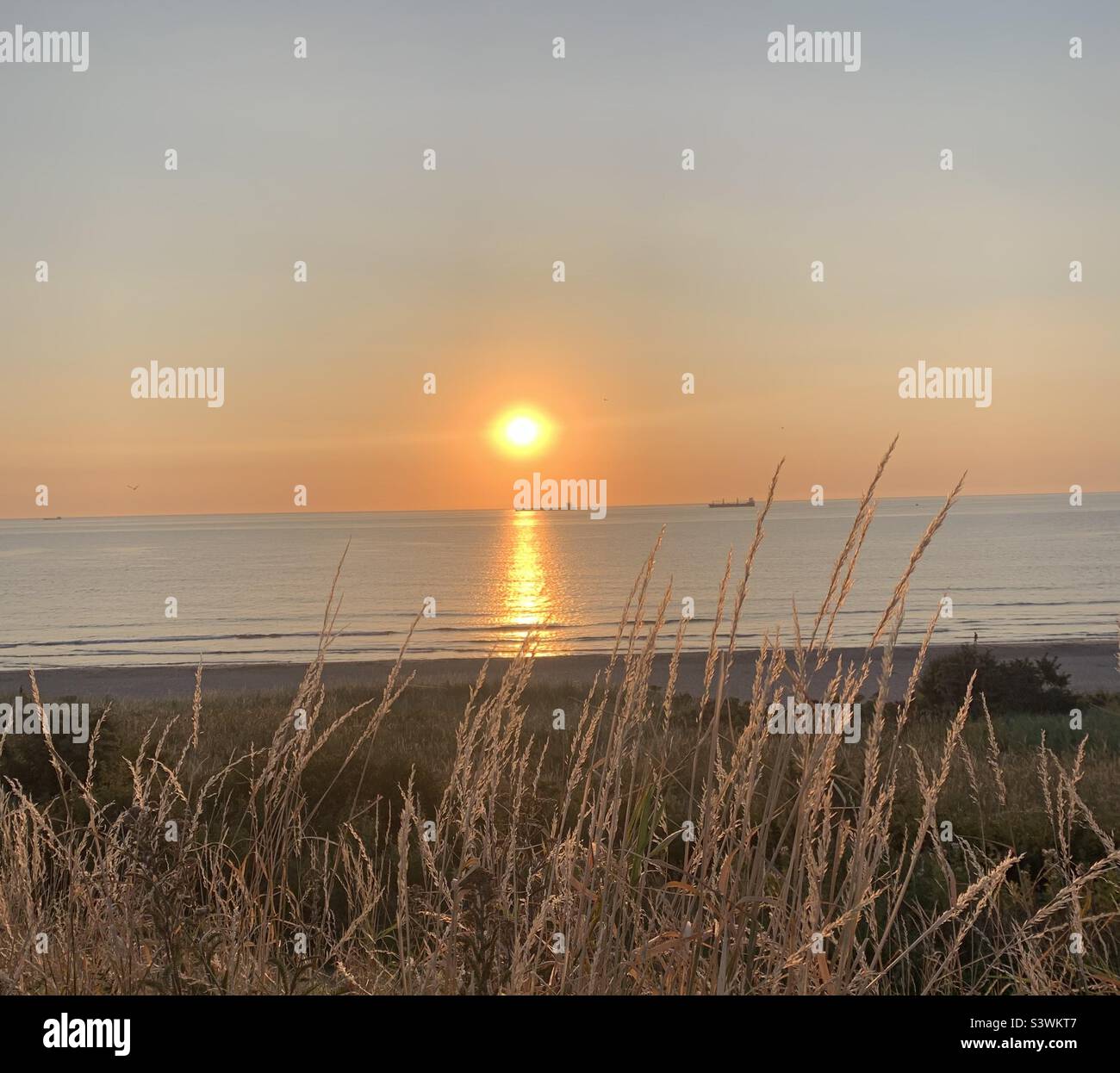 Tynemouth bei Sonnenaufgang Stockfoto