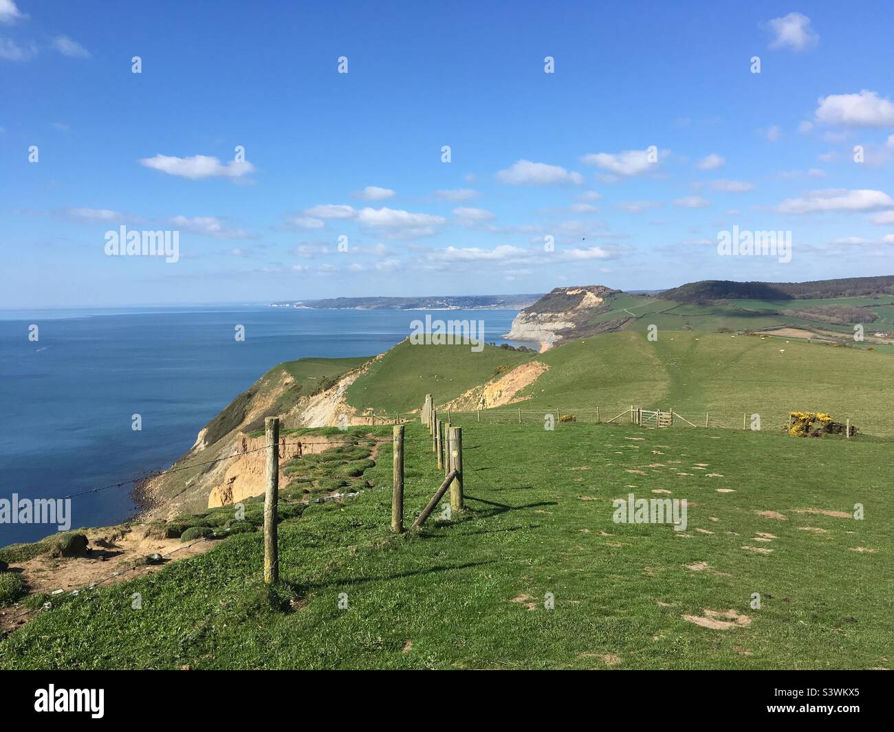 Küste von Dorset Pfad Stockfoto