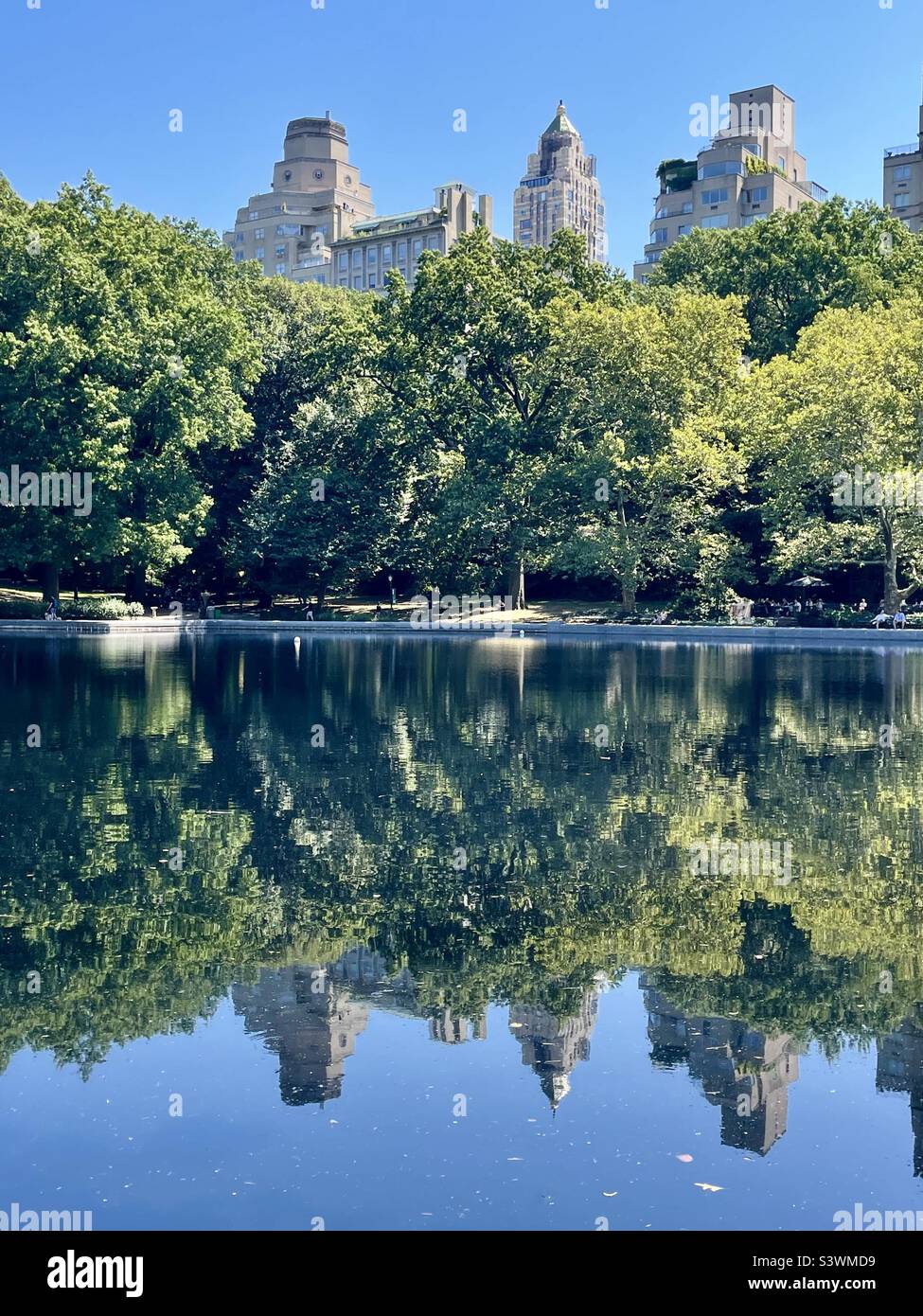 Wasser im Central Park mit Wolkenkratzern und grünen Bäumen, New York City, USA Stockfoto
