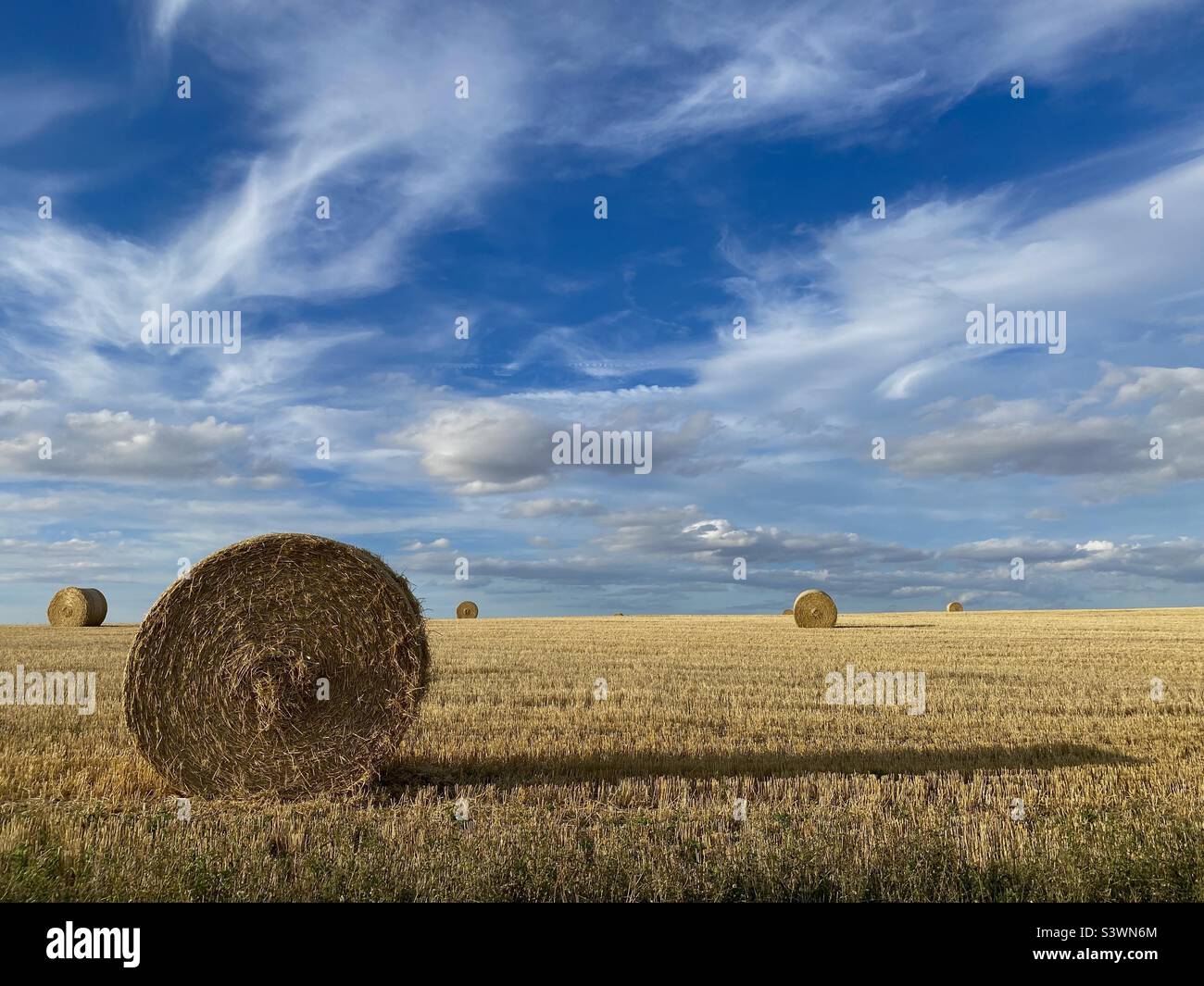 Lincolnshire Ernte - Smartphone-aufgenommenes Stockfoto