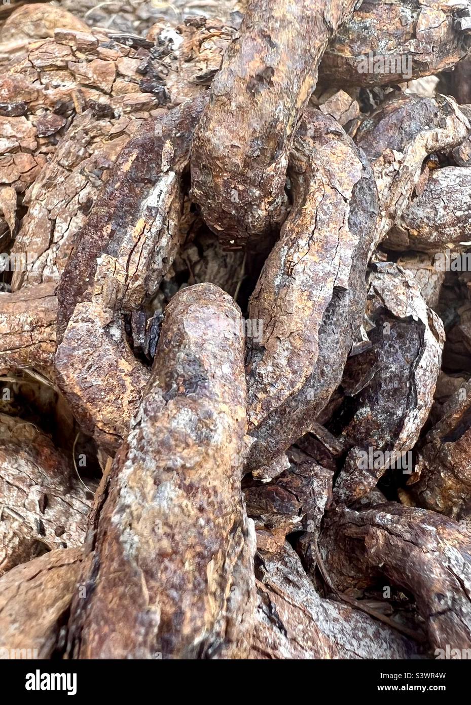 Ein Haufen stark verrostet Boot Ankerkette Stockfoto