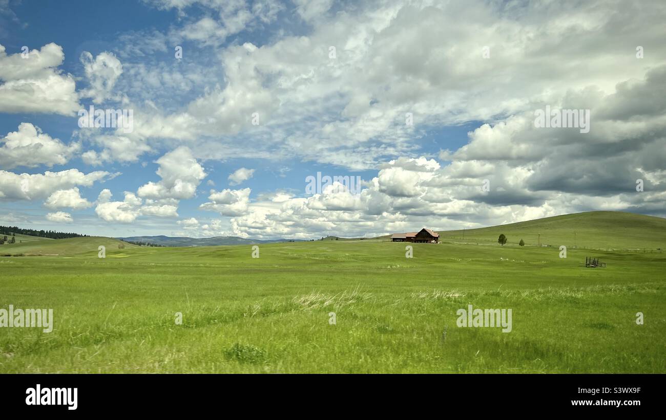 Grüne Grasfelder und ein Haus unter einem wolkigen Himmel in Montana, USA, mit Bergen in der Ferne Stockfoto