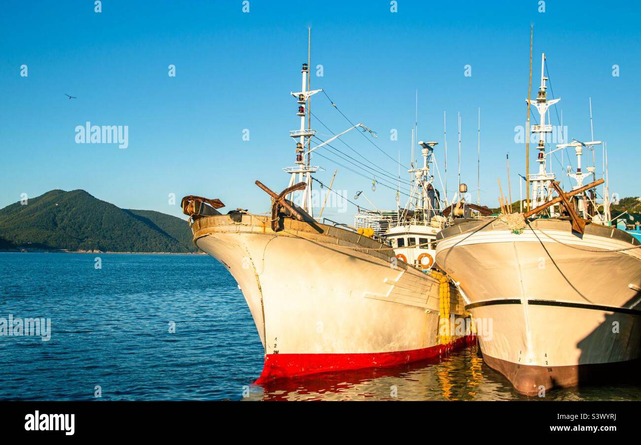 Parkboot am Wando Strand bei Sourh korea. Stockfoto