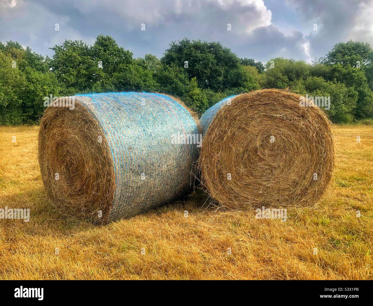 Heuballen auf einer Hampshire-Wiese im Spätsommer Stockfoto