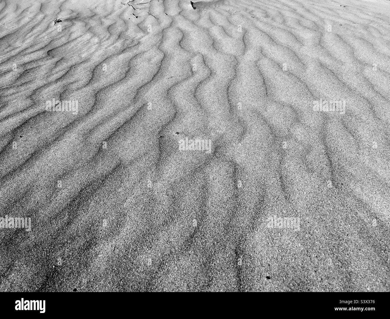 Ein dramatischer Sandy Beach in Schwarz und Weiß. Das niedrige Sonnenlicht akzentuiert die wunderschöne wellenartige Textur des Sandes. Stockfoto