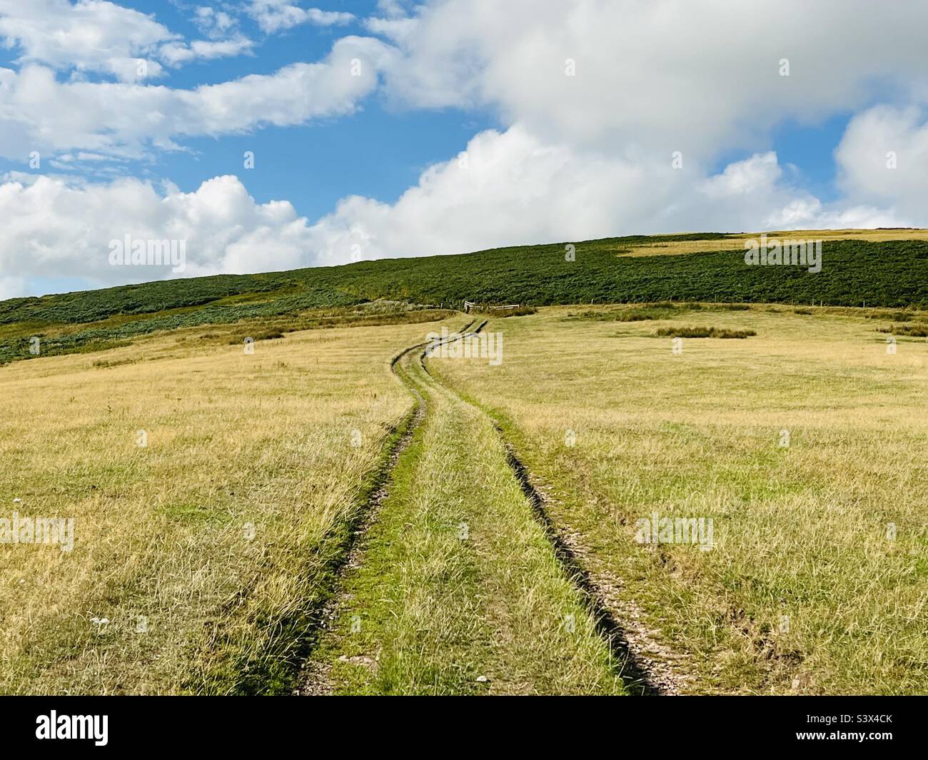 Der Weg nach vorn Stockfoto