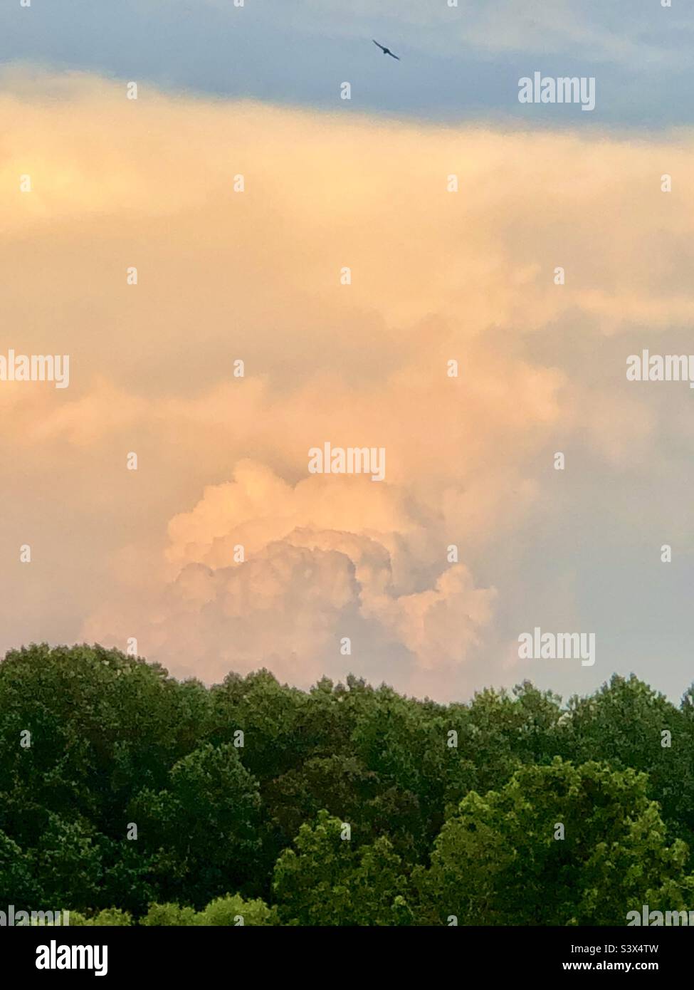 Große, wabernde Donnerwolke Stockfoto