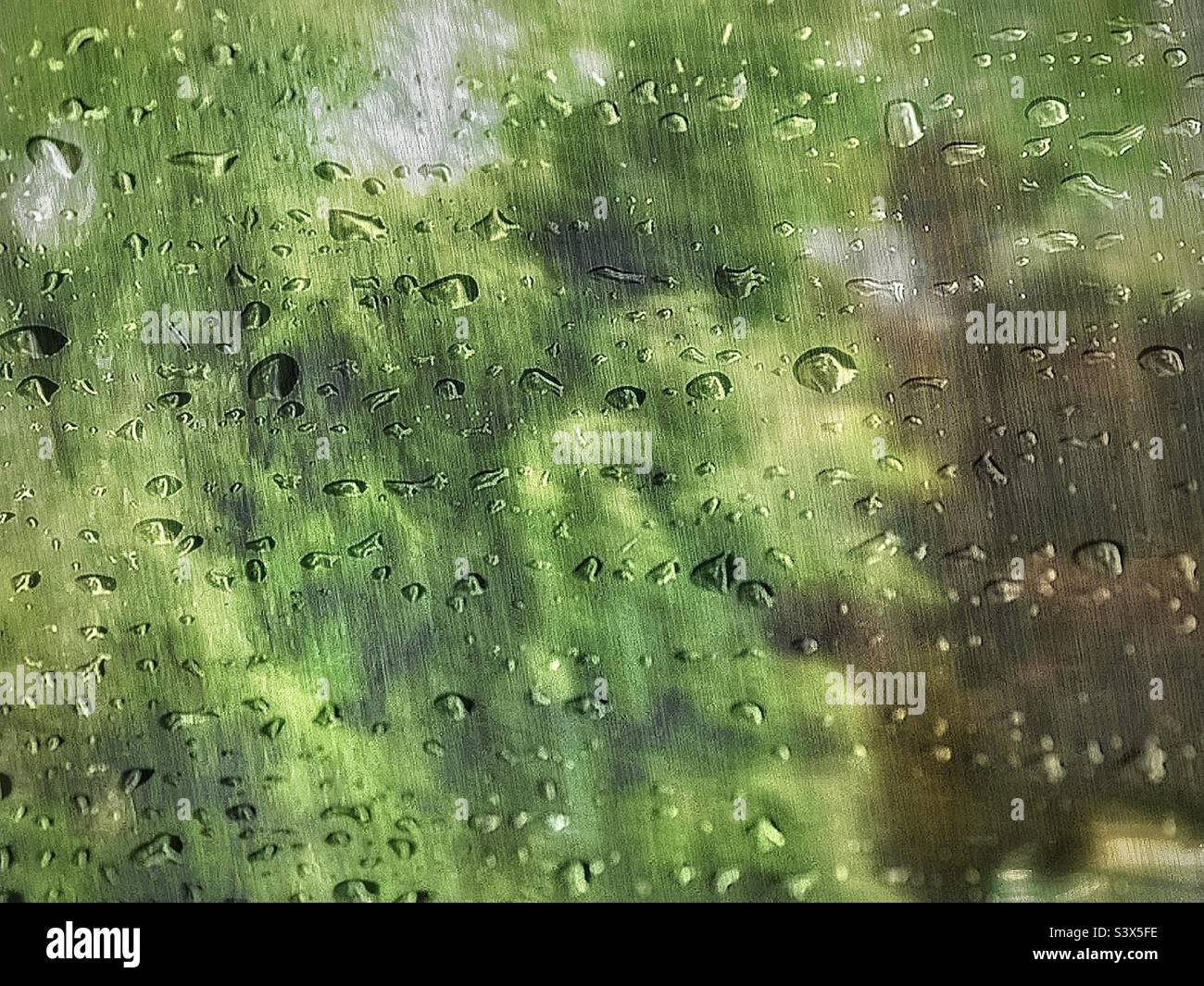Bild eines schweren sommerlichen Regenguß in meiner Nachbarschaft in Utah, USA. Zusätzlicher Regen wurde digital hinzugefügt und dann auch ein Regentropfen-Overlay für einen gut durchnässten künstlerischen Effekt. Eine schöne Abstraktion der Natur. Stockfoto