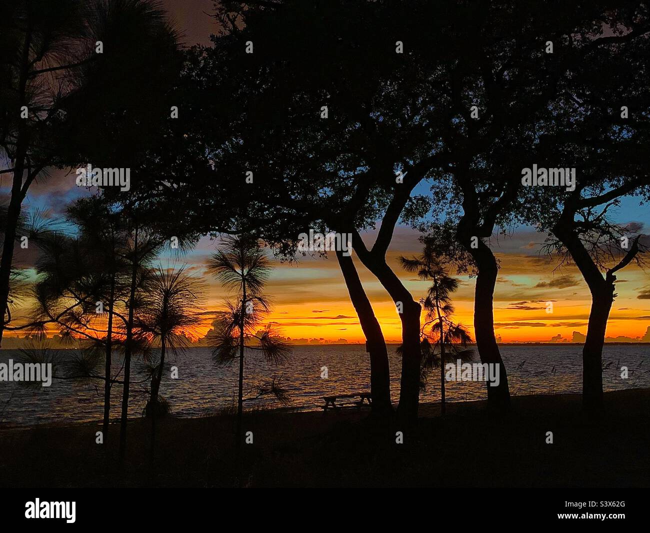 Ein herrlicher Sonnenuntergang im Florida Panhandle. Auf dem Hintergrund die hellen Farben eines Spätsommeruntergangs, die leuchtenden Farben von goldenem Orange, Bernstein, Gelb. Verbessert durch die Silhouette von Bäumen. Stockfoto