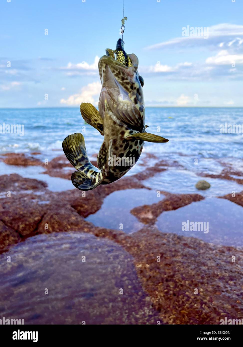 Little Rock Cod fischen an einer Angelschnur an einem felsigen Strand im East Point Reserve in Darwin, Australien Stockfoto