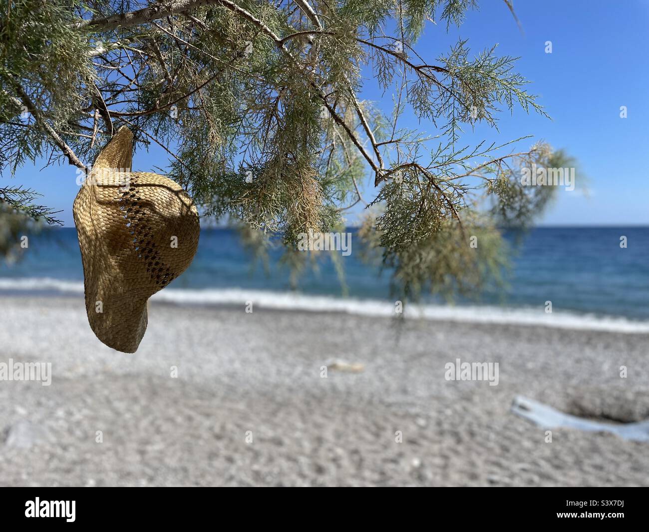 Strohhut im Baum am Strand in Kreta, Griechenland - Smartphone-aufgenommenes Stockfoto