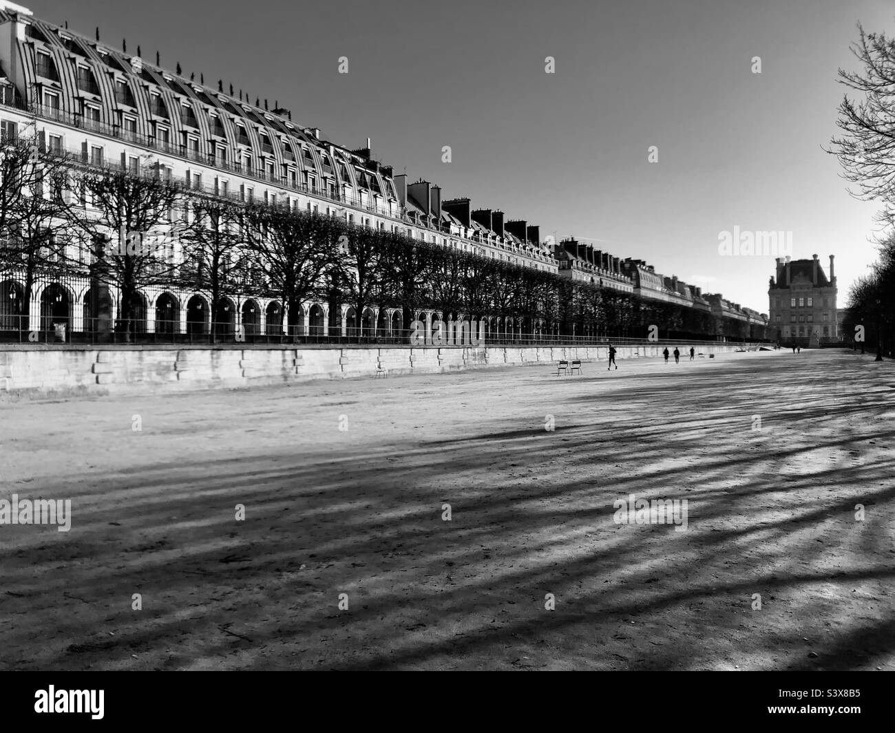 Der wunderschöne Jardin de Tuileries in Paris, die niedrige Wintersonne, die lange Schatten über den Boden wirft. Die Haussmannschen Gebäude an der Rue de Rivoli, die an den Gärten entlang verläuft. Stockfoto