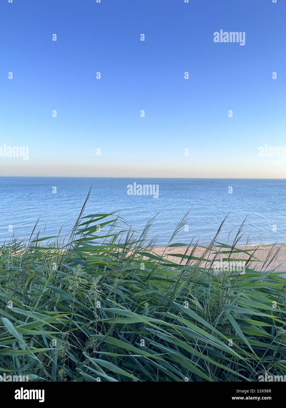 Meerblick über Gras Stockfoto