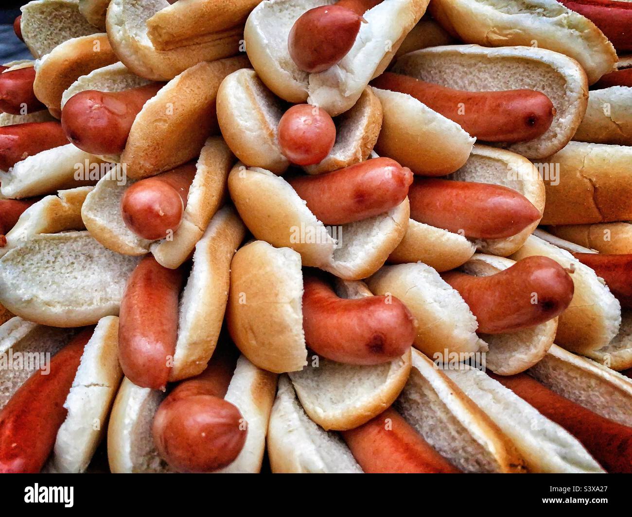 Hot Dogs und Brötchen Stockfoto