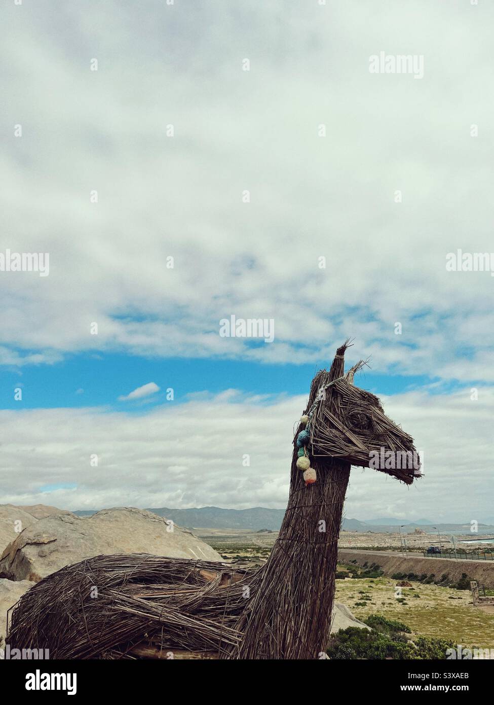 Lama Stockfoto