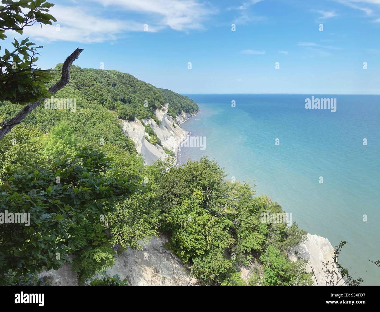 Die weißen Kreidefelsen von Mons Klint im Sommer, Dänemark Stockfoto