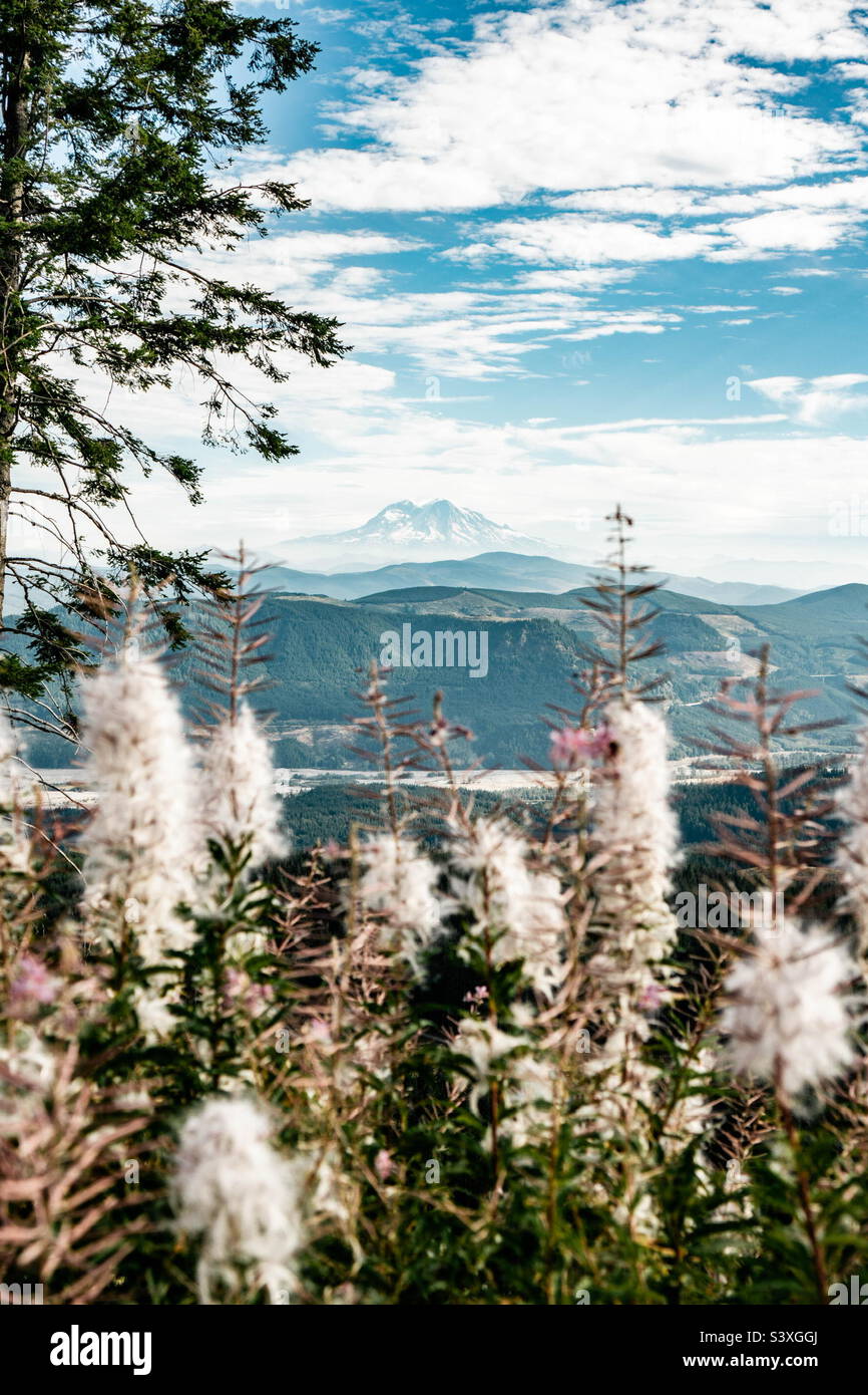 Mount Saint Helens Stockfoto