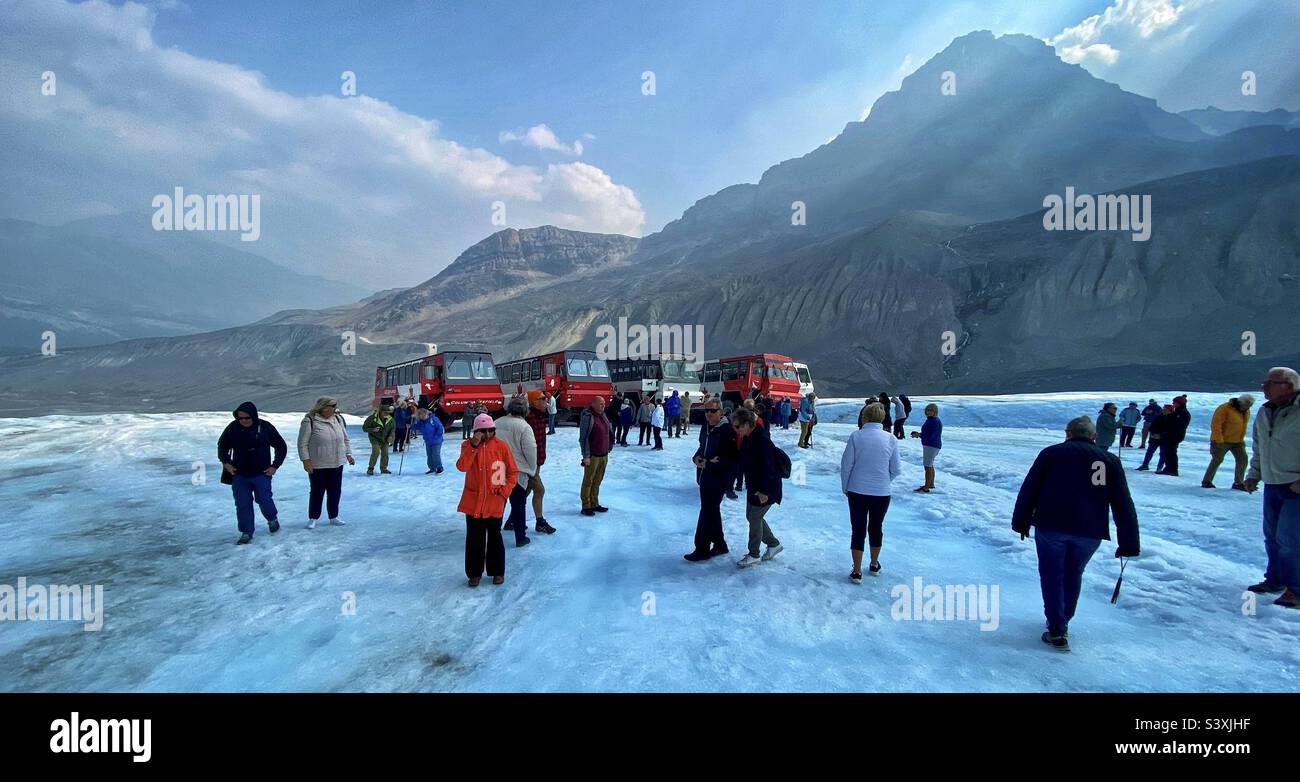 Athabasca-Gletscher. Kanada. Stockfoto