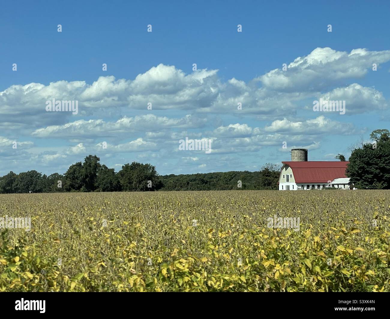 Maryland Country Farm Stockfoto