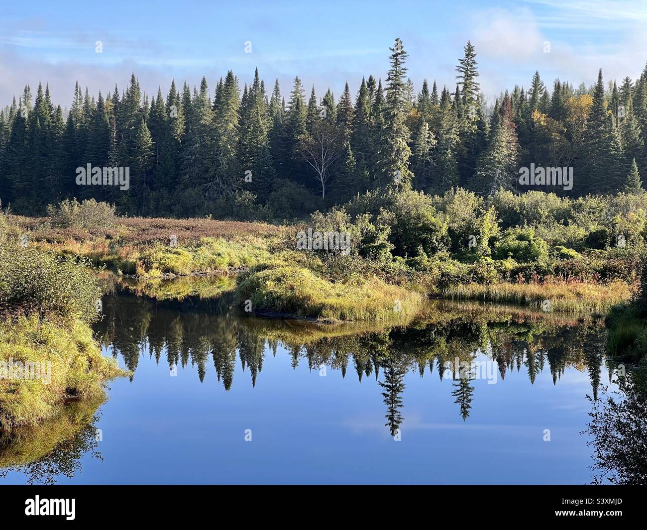 Ein ruhiger Fluss, der an einem Herbstmorgen Bäume reflektiert. Stockfoto