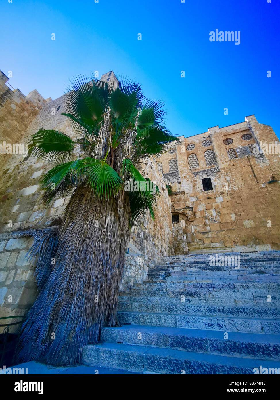 Hulda satiert im Davidson Archäologischen Park in Jerusalem. - Smartphone-aufgenommenes Stockfoto