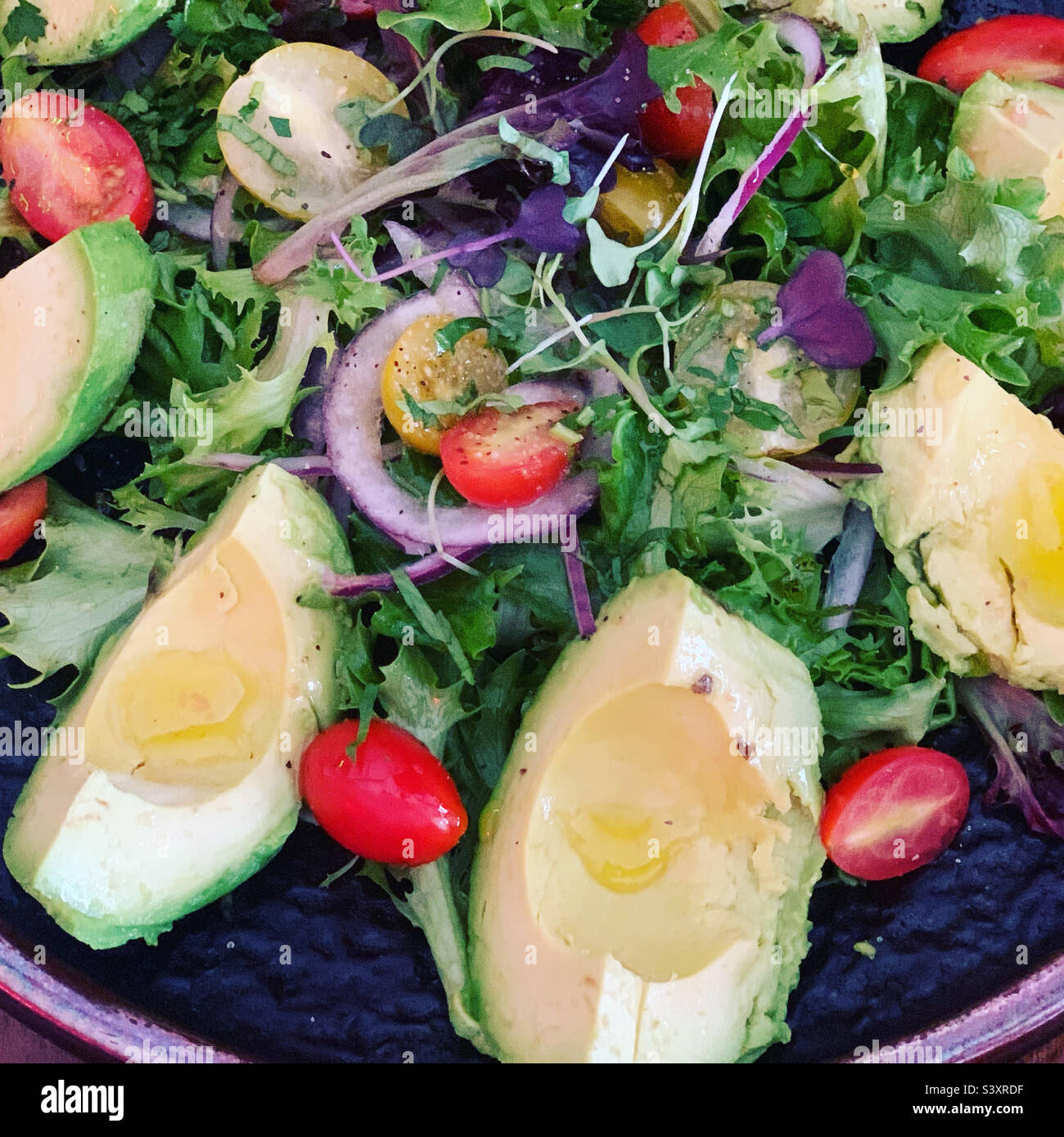 Avocado-Salat, Havanna Vieja Kubisches Restaurant, South Beach, Miami Beach, Florida, USA Stockfoto