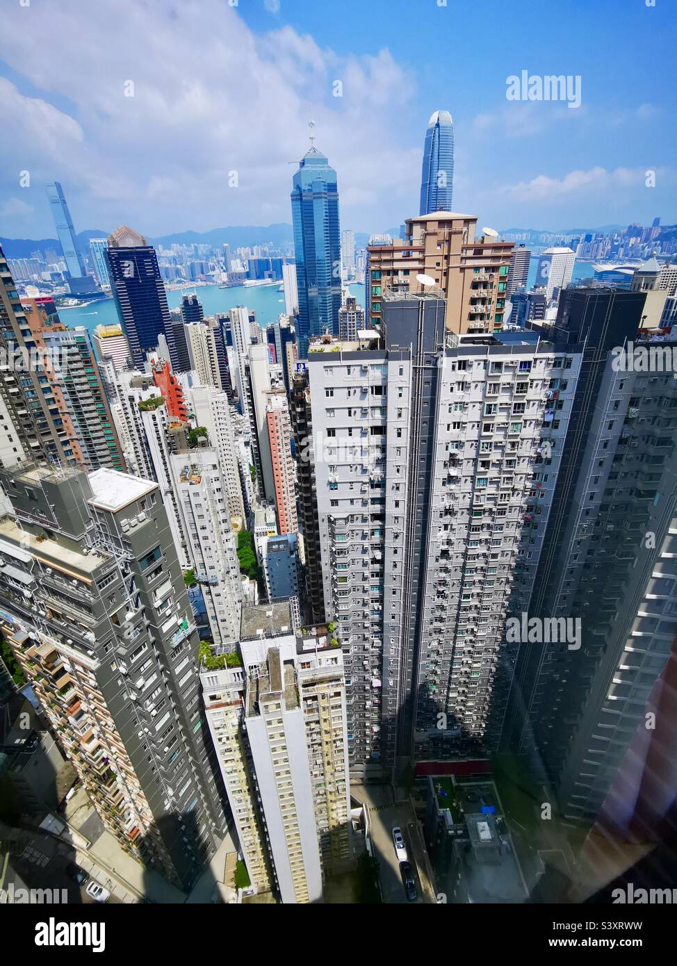 Urbaner Dschungel. Das Stadtzentrum von Hongkong. Stockfoto