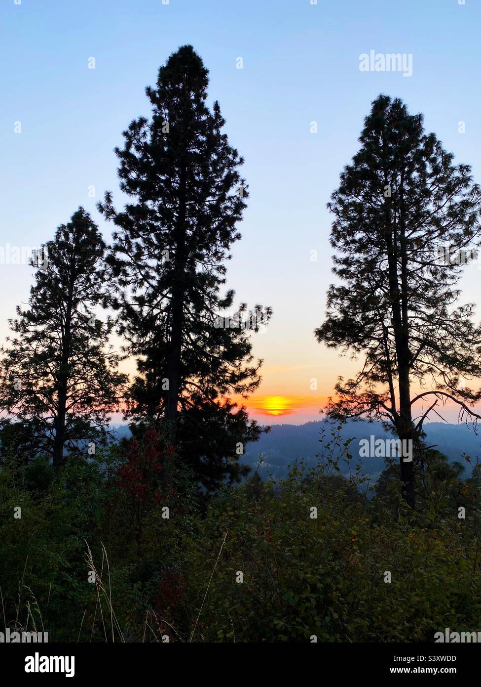 Sonnenuntergang über dem südlichen Willamette Valley Blick vom Wild Iris Ridge in Eugene, Oregon. Stockfoto