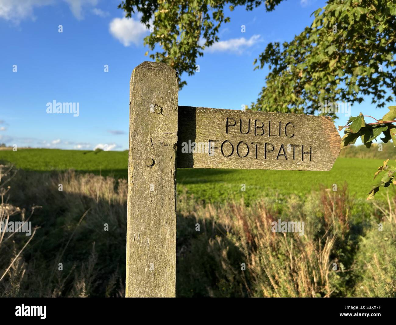 Ein öffentliches Wegweiser, der den Weg über Felder in Norfolk, Großbritannien, weist Stockfoto