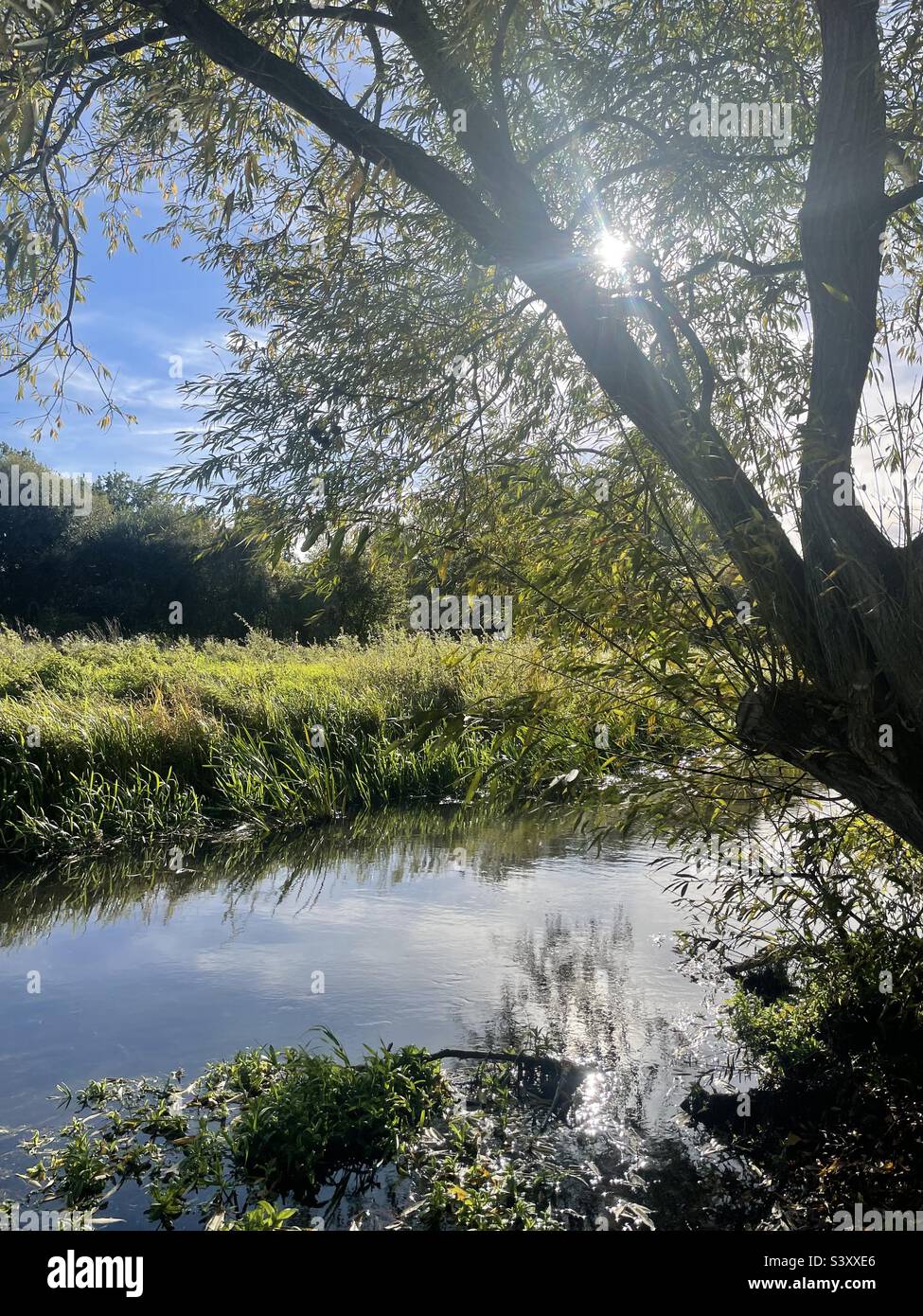 River Wensum. - Smartphone-aufgenommenes Stockfoto