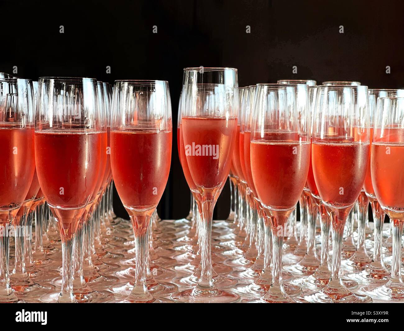 Reihen von Flötengläsern, gefüllt mit rosa Champagner. Keine Personen. Stockfoto