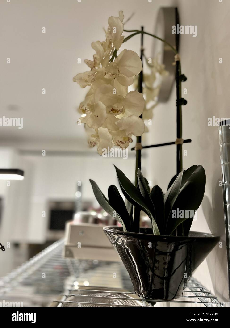 Künstlicher Orchideentopf in einer Küche - Smartphone-aufgenommenes Stockfoto