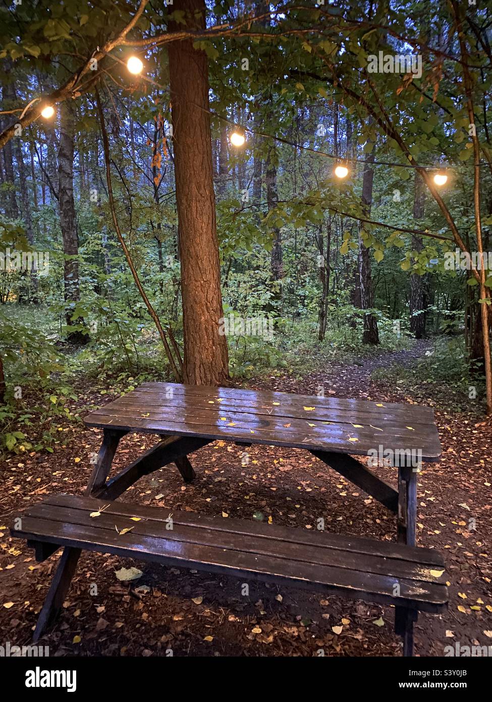 Holztisch mit Bänken im Wald im Regen, eine Girlande darauf Stockfoto