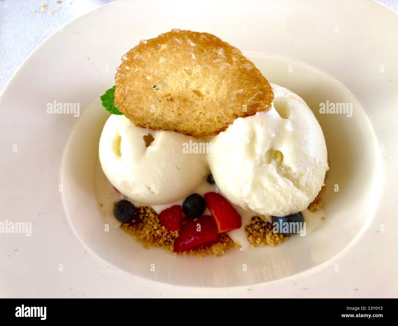 Zwei Kugeln Vanilleeis mit Waldfrüchten und einer Waffel in einer weißen Schüssel - Smartphone-aufgenommenes Stockfoto