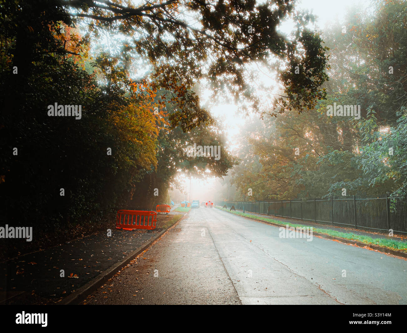 Am frühen Morgen, nebliger Blick entlang einer Straße. Stockfoto
