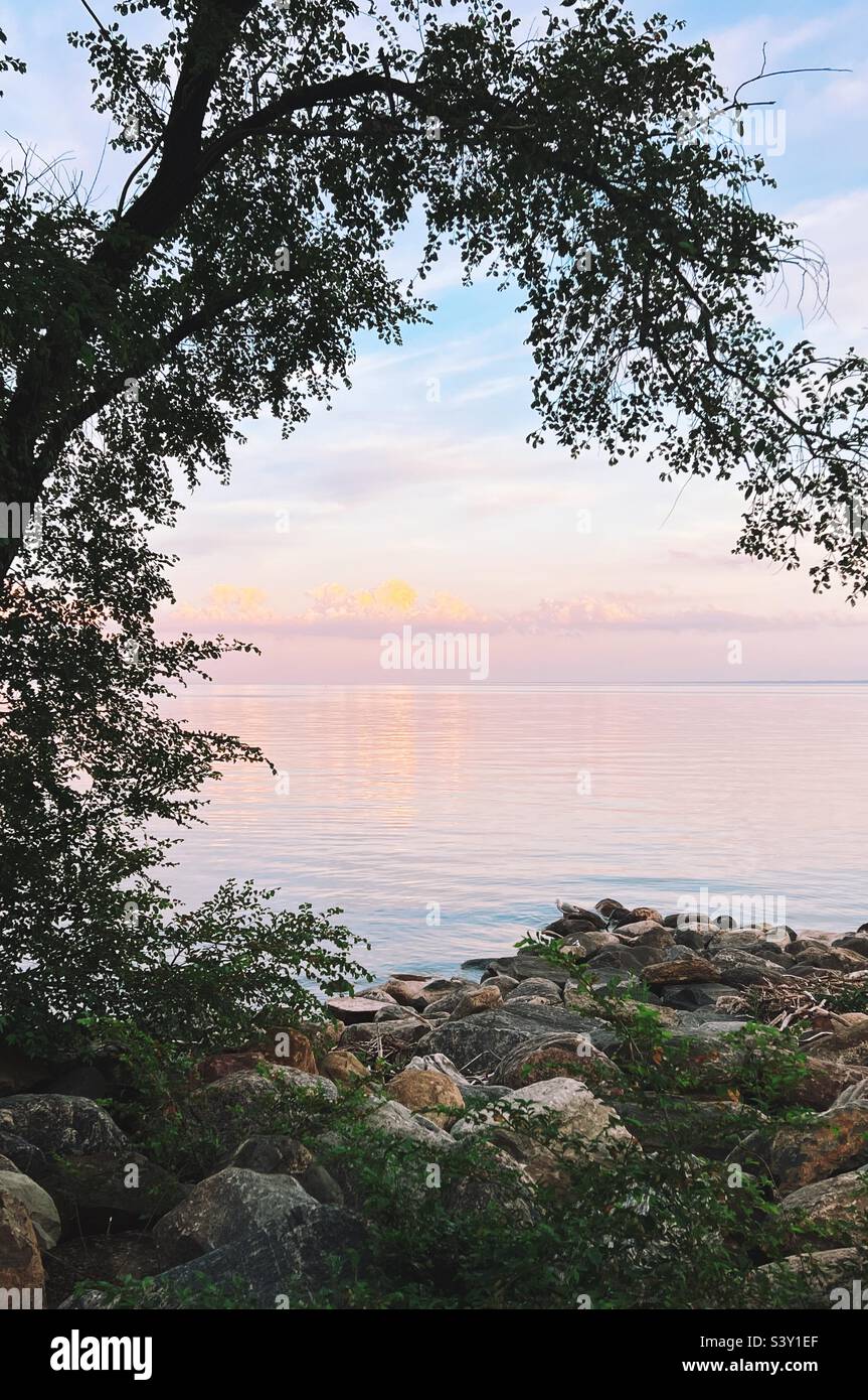 Traumhafte Sonnenuntergänge durch Bäume am Ufer des Lake Ontario canada. Stockfoto