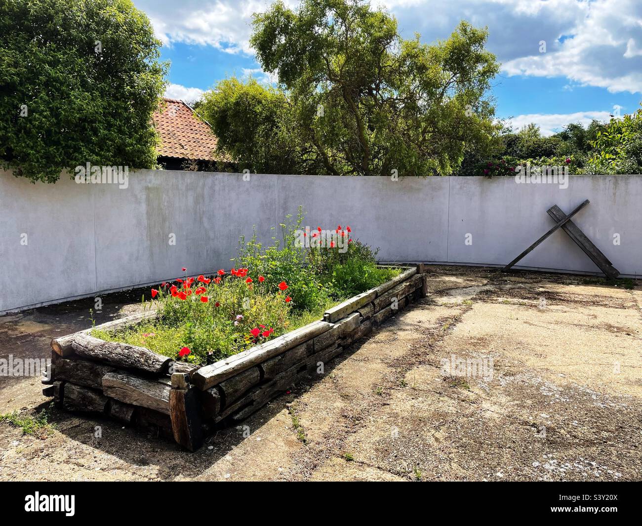 Erhöhten Gartenbett im Innenhof - Smartphone-aufgenommenes Stockfoto