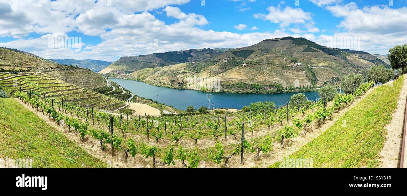 Douro-Tal - Smartphone-aufgenommenes Stockfoto